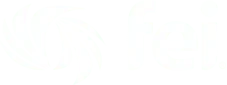 Financial Executives International (FEI) logo: read the case